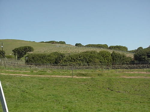 Point Reyes Vineyard Inn แคลิฟอร์เนียซิตี้ ภายนอก รูปภาพ