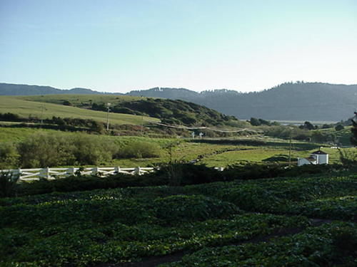 Point Reyes Vineyard Inn แคลิฟอร์เนียซิตี้ ภายนอก รูปภาพ