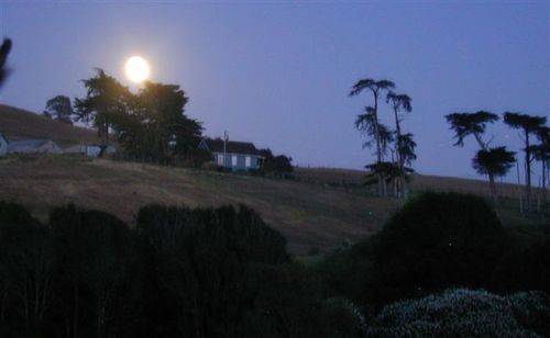 Point Reyes Vineyard Inn แคลิฟอร์เนียซิตี้ ภายนอก รูปภาพ
