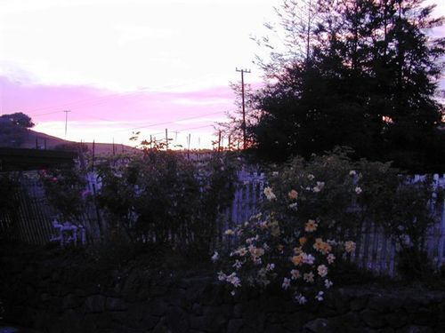 Point Reyes Vineyard Inn แคลิฟอร์เนียซิตี้ ภายนอก รูปภาพ