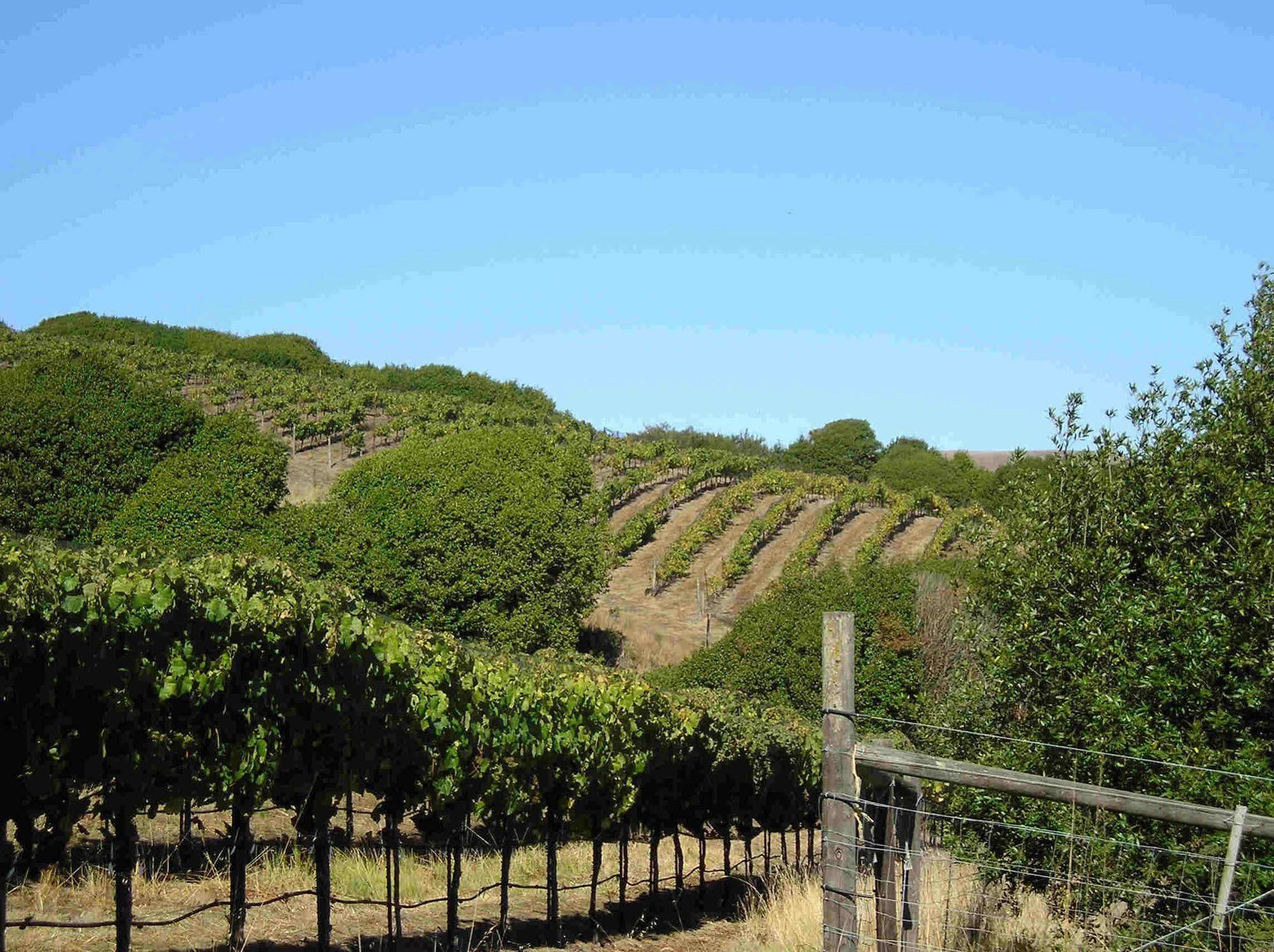 Point Reyes Vineyard Inn แคลิฟอร์เนียซิตี้ ภายนอก รูปภาพ